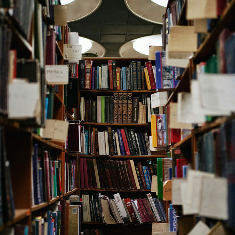 Alicia Philibin-Kayser est avocat en droit du travail au service des employeurs,avocat en droit social et partenaire formation à Paris Marne la Vallée.